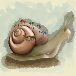 Mushroom Snail